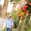 ���� ������ �������, ����, 53 ���� - ��������� 8 ������� 2014 � ������ ���� ����������