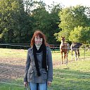 ���� ������, ������ - ��������� 31 ������� 2014 � ������ �Shcwerin )))�