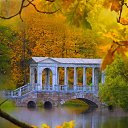 ���� ��������, ������, 44 ���� - ��������� 24 �������� 2014 � ������ ���� ����������