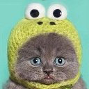 ���� ����., ������, 60 ��� - ��������� 18 �������� 2014 � ������ ������ ��������