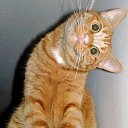 ���� ���, ������ - ��������� 19 �������� 2014 � ������ ������ ��������