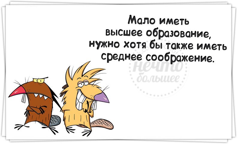   - 25  2014  15:41