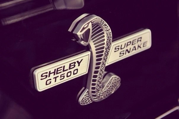 Ford Shelby GT500 Super Snake - 3