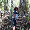  ,  -  10  2014   Tamborine Mountain