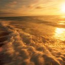 ���� Lenok, ������ - ��������� 11 ������� 2014