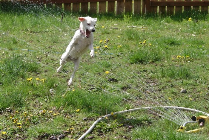  :   .           ... - 6