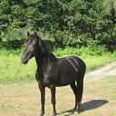 ���� ��������, ��������� - ��������� 6 ������� 2014 � ������ ��������� 2014.05. �������..�