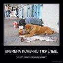���� �����, ������, 34 ���� - ��������� 27 �������� 2014 � ������ ������ ��������