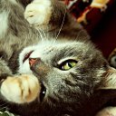 ���� Juriy, ����, 64 ���� - ��������� 10 ������� 2014 � ������ ���� ����������