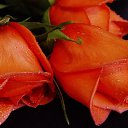 ���� Keti, �������, 54 ���� - ��������� 10 ������� 2014 � ������ ���� ������� ����!!!!�
