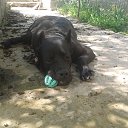 ���� ������, �������������� - ��������� 15 ������ 2014 � ������ ����Ի