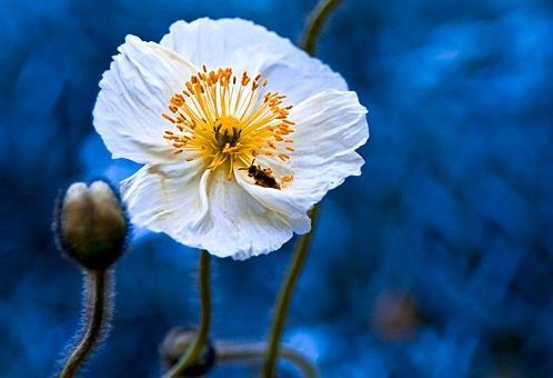 Жизнь — не там, где много машин и денег… Там жизнь, где люди, которые искренне тебя любят и очень ... - 2