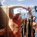 ���� �����, ������������, 47 ��� - ��������� 3 ������� 2014 � ������ ���� ���� ������