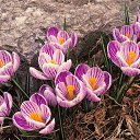 ���� Kisa, �������� - ��������� 8 ������ 2014 � ������ ������ ��������