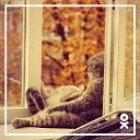 ���� ������, ������� - ��������� 20 ������� 2014 � ������ ������ ��������