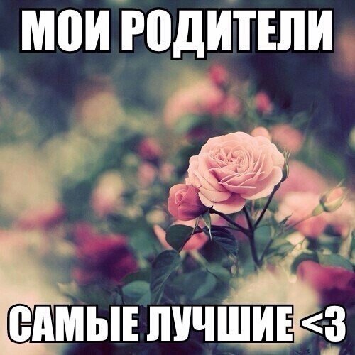 Art & Fun - 6  2014  16:51