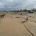  Roxanne, - -  15  2014   _09_2014