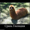 ���� ������, ������� - ��������� 2 ������� 2014 � ������ ������ ��������