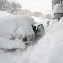 ���� ������, �����������, 57 ��� - ��������� 8 ������ 2014 � ������ �555�