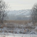 ���� �����, ��������������, 46 ��� - ��������� 4 ������� 2014 � ������ ���� ����������