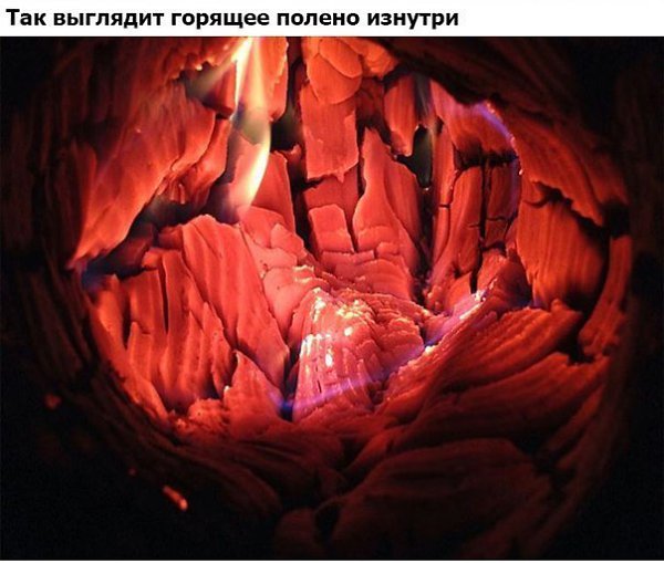 Интересные фотографии, которые вы, возможно, не видели. Часть 2. - 4