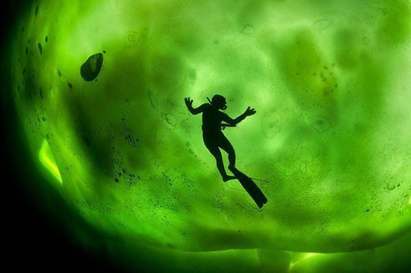 Дайвер Катерина Хамсикова подо льдами Белого моря. Зеленый цвет от просвечивающего северного сияния.