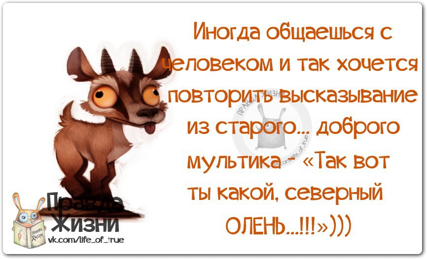  - 6  2014  11:53