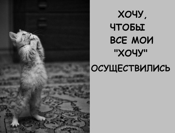       - 6  2014  19:31