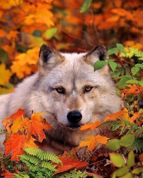   : http://fotostrana.ru/public/233467 ;-)      ...