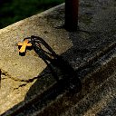 ���� �������, �����-���������, 70 ��� - ��������� 7 �������� 2014 � ������ ���� ����������