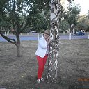 ���� ������, �������� - ��������� 12 ������� 2014 � ������ ���� ����������