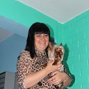 ���� �������, ��������, 41 ��� - ��������� 13 �������� 2014 � ������ ���� ����������