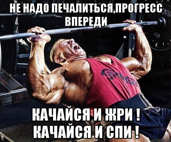 SportFeed - 25  2014  23:43