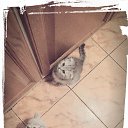 ���� Kati, ������ - ��������� 26 ������ 2014 � ������ ������ ��������