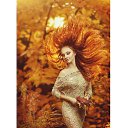 ���� �������, ������������, 52 ���� - ��������� 25 �������� 2014 � ������ ������ ��������