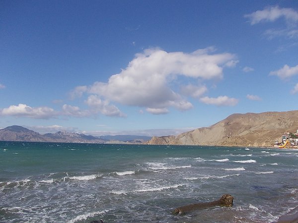 ������ ����