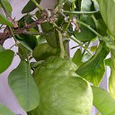 ���� ������� �����, ��������� - ��������� 6 �������� 2014 � ������ ������ ��������