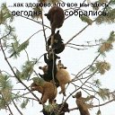 ���� @��., ������ - ��������� 28 �������� 2014 � ������ ������ ��������