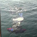 ���� ������, ����������� - ��������� 30 ������� 2014 � ������ ���� ����������