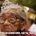 ���� ���������, ������ - ��������� 11 �������� 2014 � ������ ������ ��������