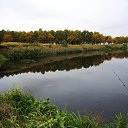  , , 60  -  28  2014     (    )