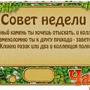 ���� ������ �-180��, ���������, 44 ���� - ��������� 20 ������ 2014 � ������ ��������