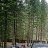 ���� Mamin-sibiryak, �����������, 51 ��� - ��������� 25 �������� 2014