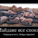 ���� �������, ������, 66 ��� - ��������� 19 ������� 2014 � ������ ������� - �����Ż