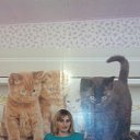 ���� �����, ������, 38 ��� - ��������� 3 ������� 2014 � ������ ���� ����������