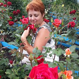 �������, �����, 57 ���