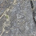���� �������, ������, 37 ��� - ��������� 31 ������� 2014 � ������ �������� ��������