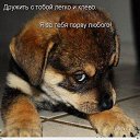 ))))))) �� ������� ���� ����������