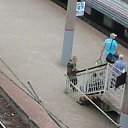  , -, 38  -  23  2014    