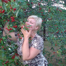 Лариса, 59, Геническ
